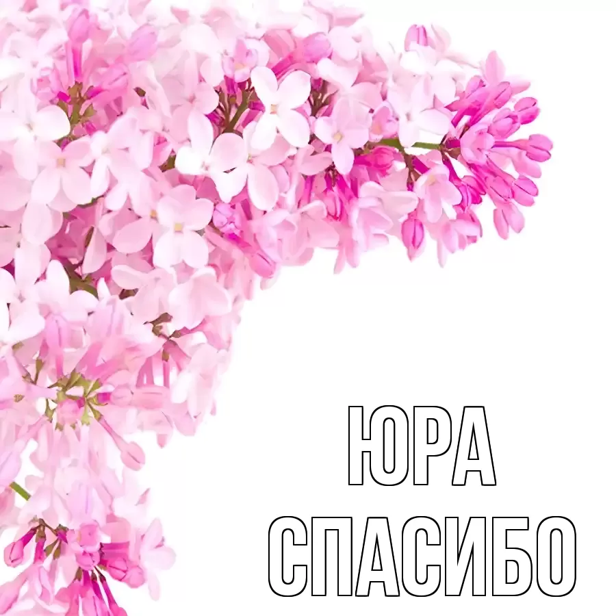 ОТКРЫТКА ЮРА