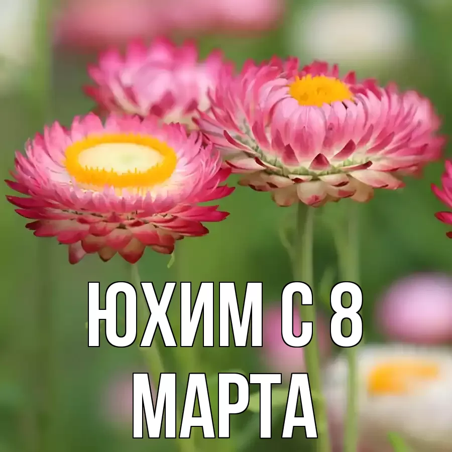 ОТКРЫТКА ЮХИМ