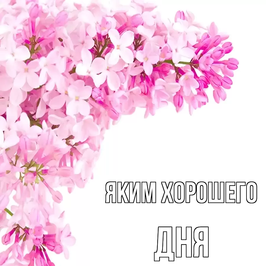 ОТКРЫТКА ЯКИМ