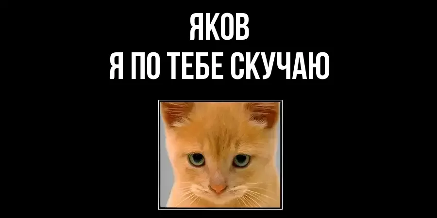 ЯКОВ Я ПО ТЕБЕ СКУЧАЮ