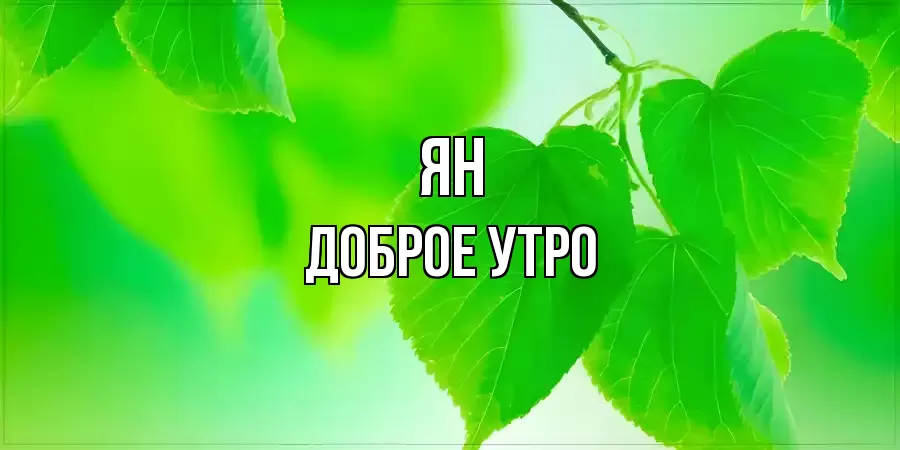 ДОБРОЕ УТРО ЯН