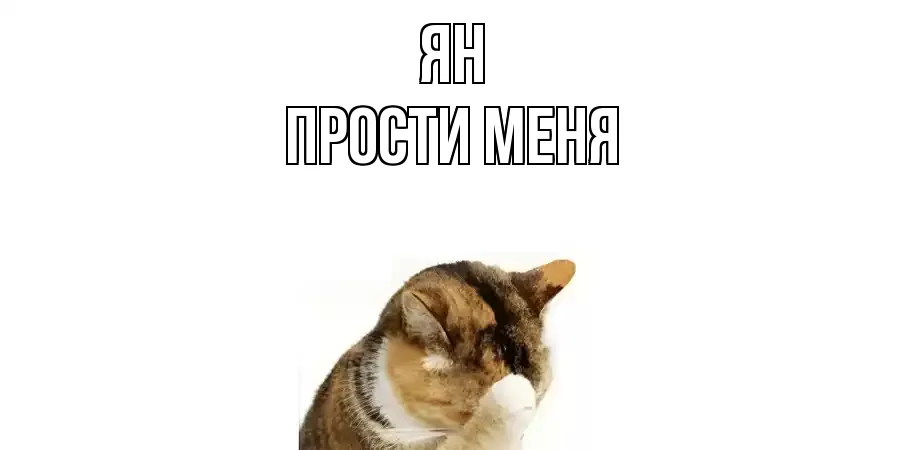 ПРОСТИ МЕНЯ ЯН