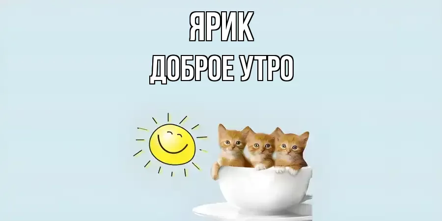 ДОБРОЕ УТРО ЯРИК