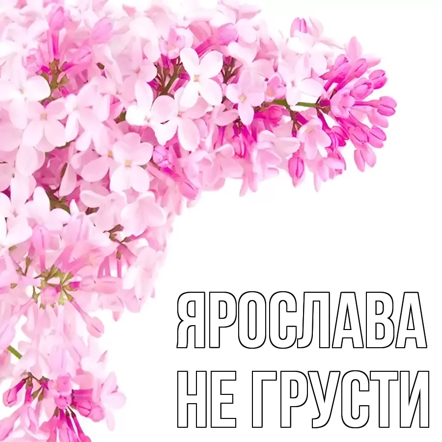 ОТКРЫТКА ЯРОСЛАВА