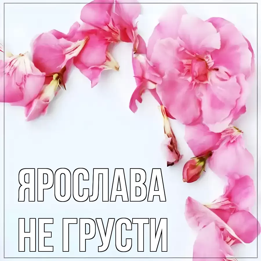 ОТКРЫТКА ЯРОСЛАВА