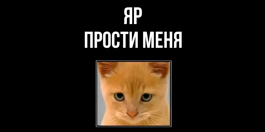 ПРОСТИ МЕНЯ ЯР