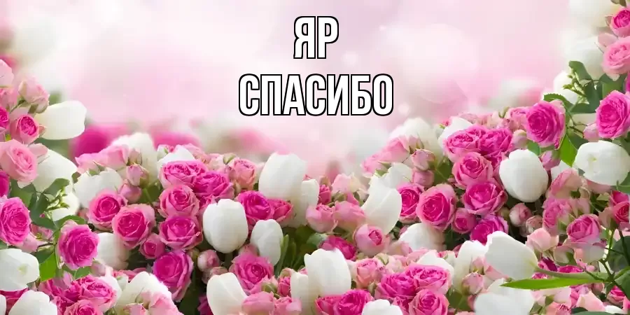 ОТКРЫТКА ЯР