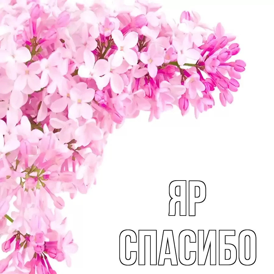 ОТКРЫТКА ЯР