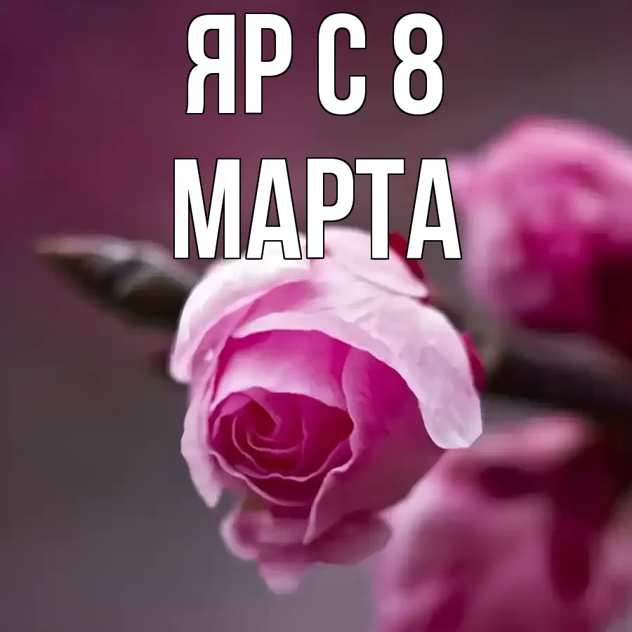 ОТКРЫТКА ЯР