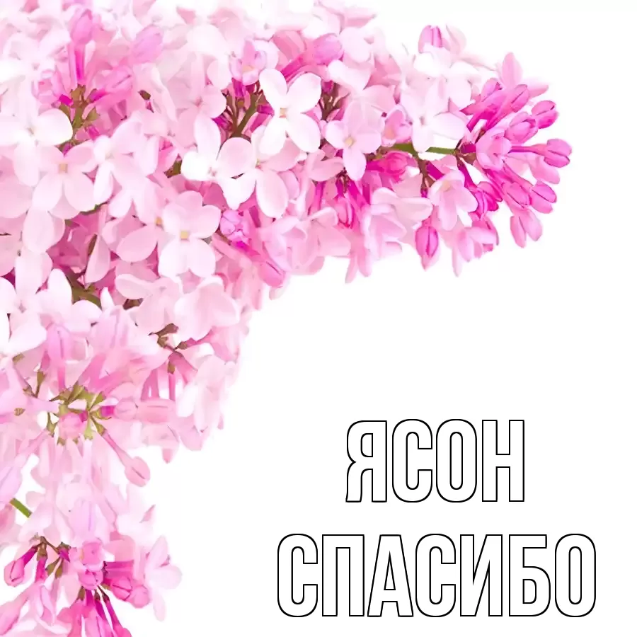 ОТКРЫТКА ЯСОН