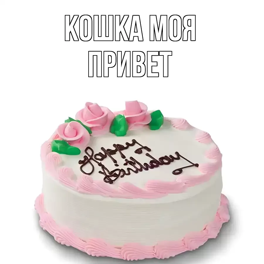 ОТКРЫТКА КОШКА МОЯ