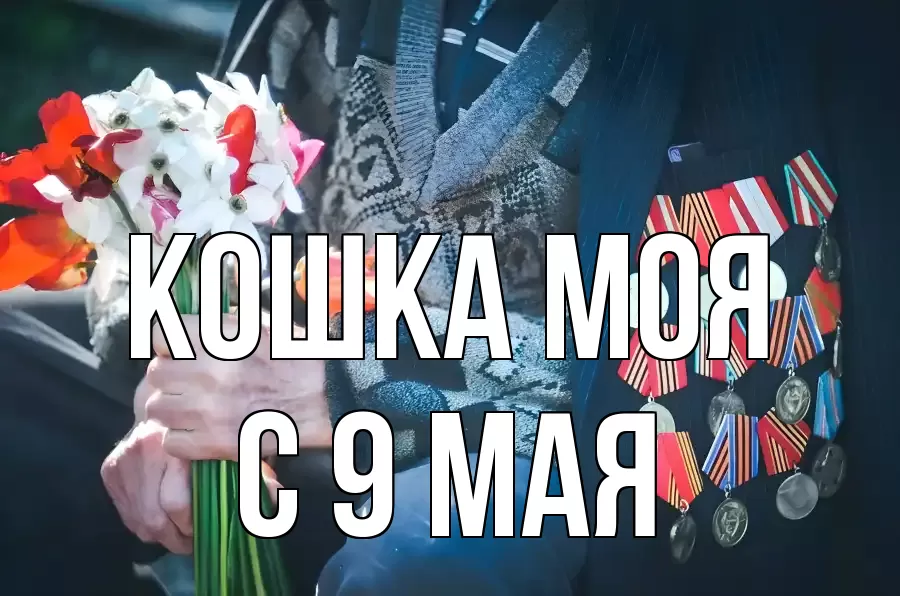 С 9 МАЯ КОШКА МОЯ