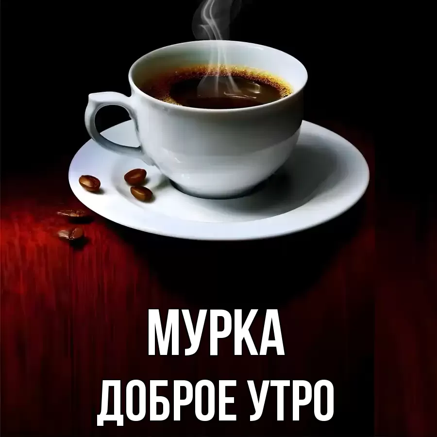 ДОБРОЕ УТРО МУРКА