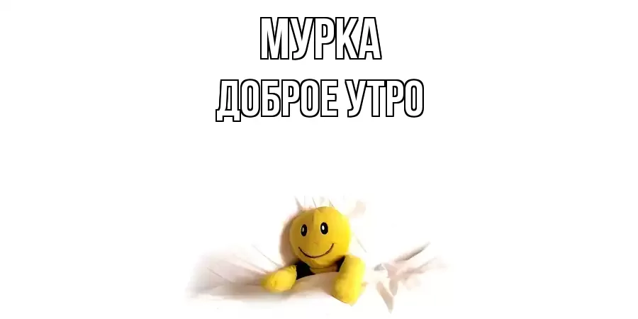 ДОБРОЕ УТРО МУРКА