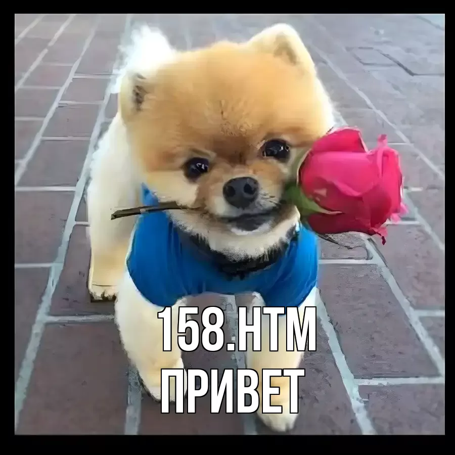 ПРИВЕТ 158.HTM
