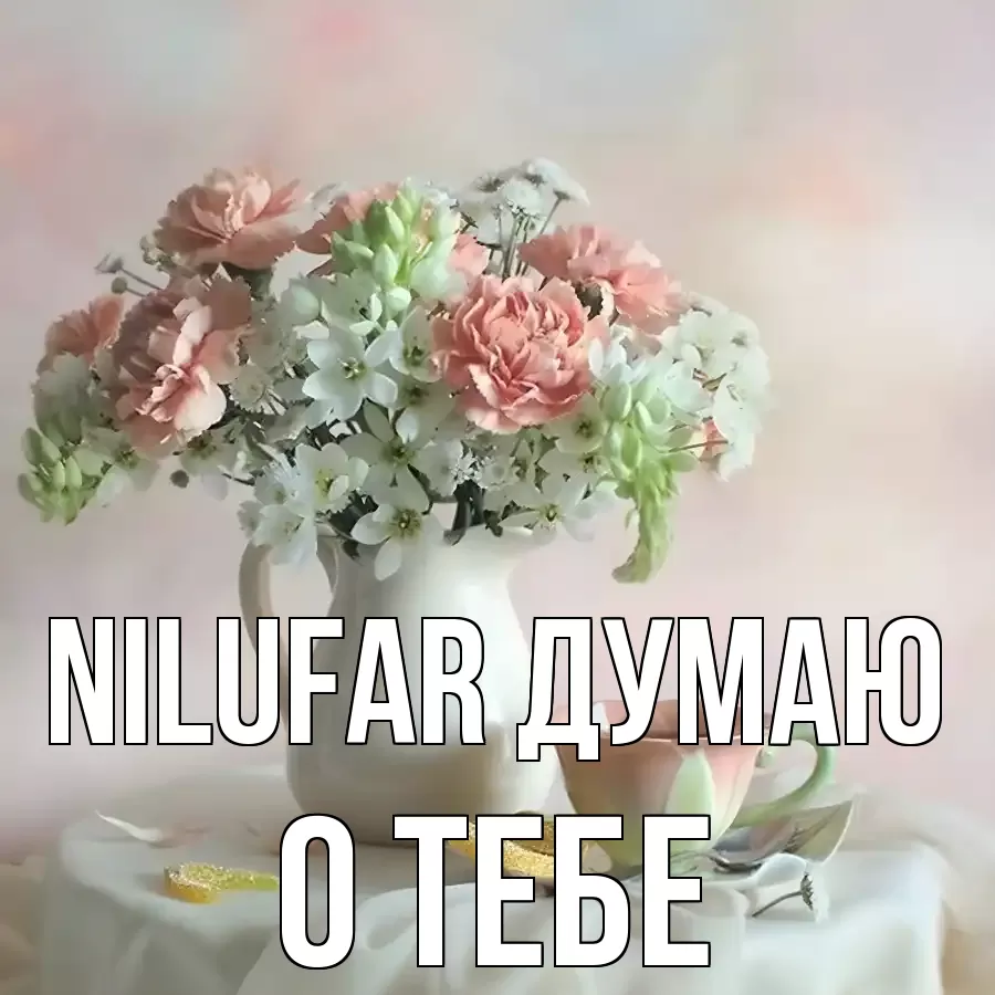 ОТКРЫТКА NILUFAR