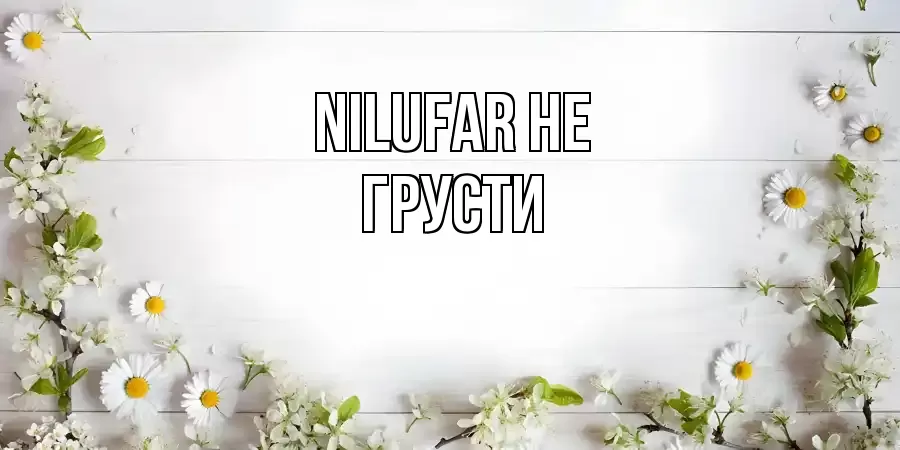 ОТКРЫТКА NILUFAR
