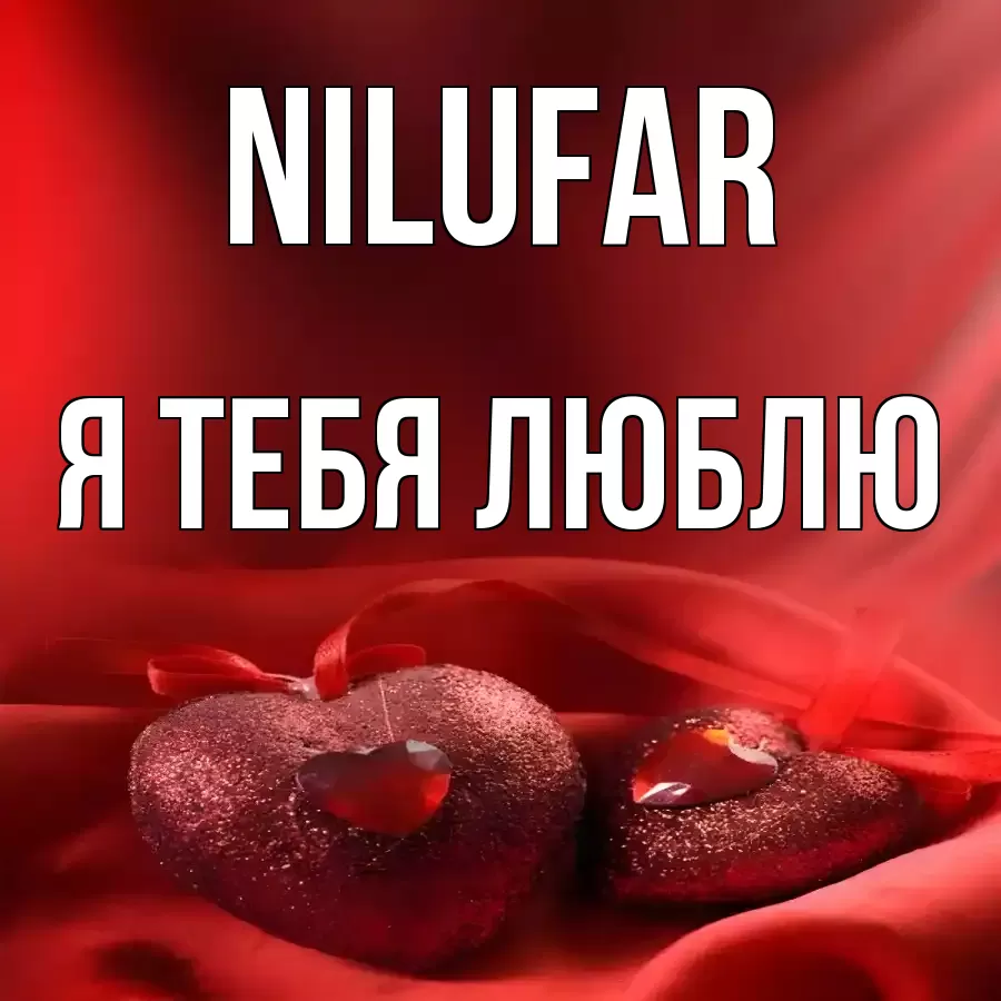 NILUFAR Я ТЕБЯ ЛЮБЛЮ