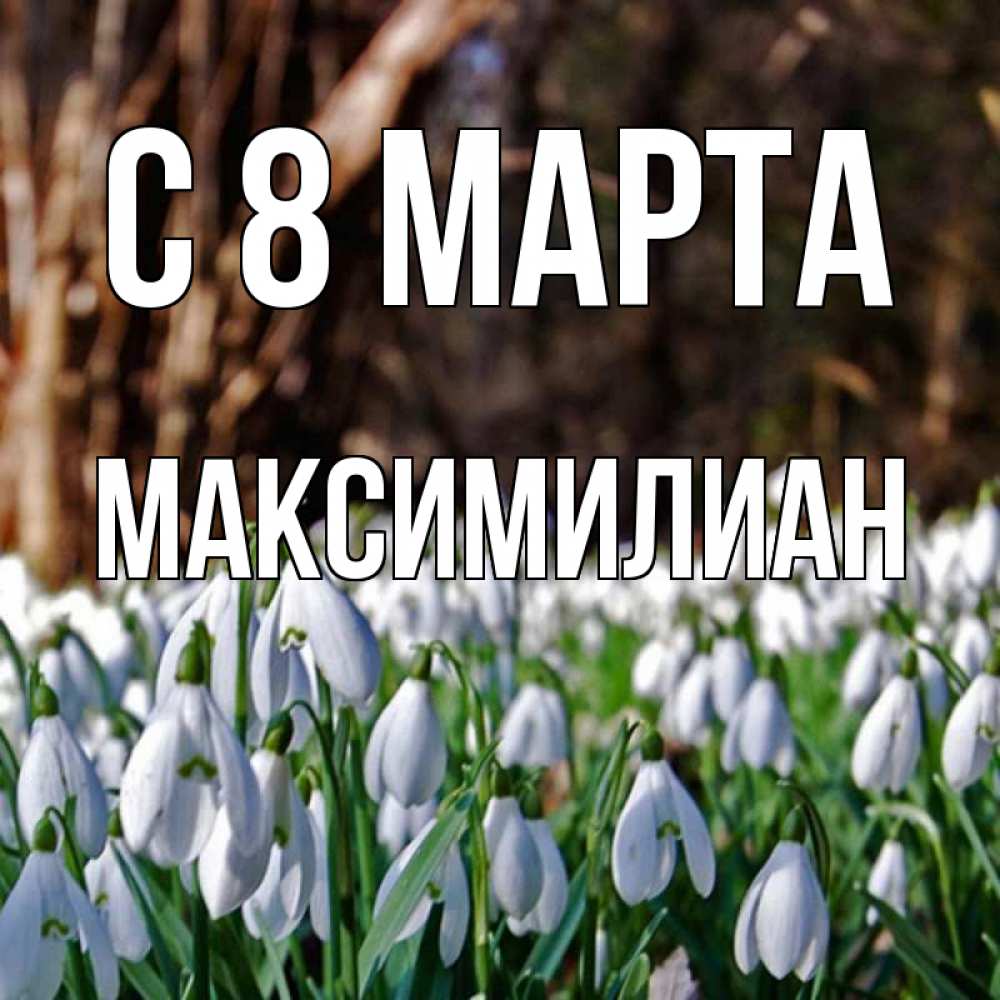 Открытка на каждый день с именем, Максимилиан С 8 МАРТА с подснежниками 1 Прикольная открытка с пожеланием онлайн скачать бесплатно 