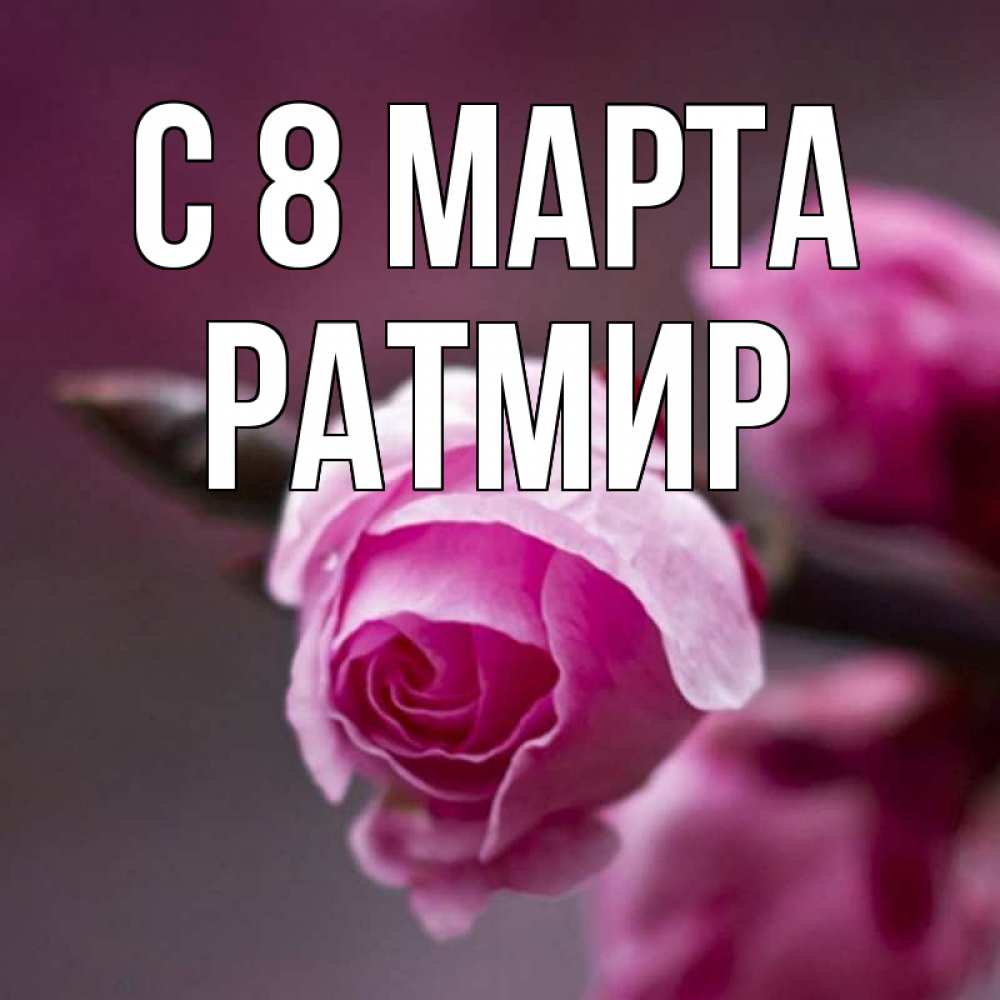 Открытка на каждый день с именем, Ратмир С 8 марта весна Прикольная открытка с пожеланием онлайн скачать бесплатно 