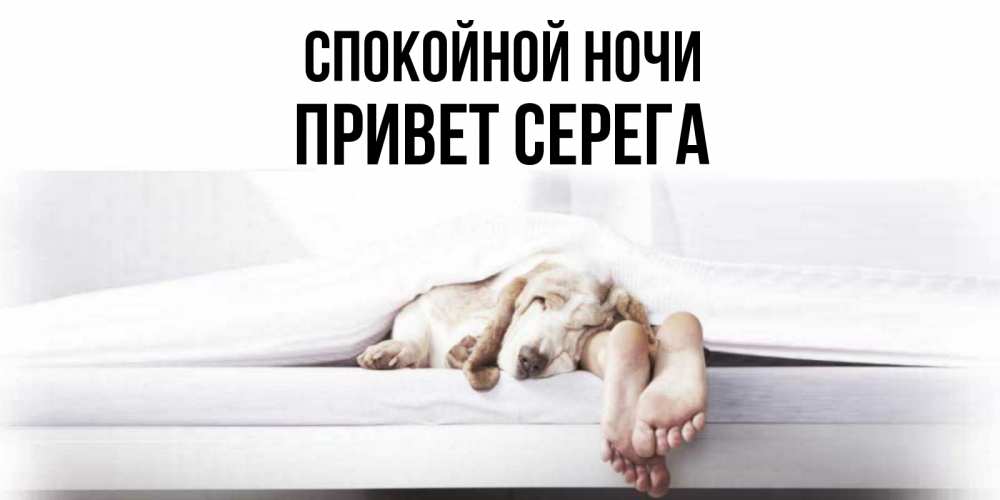 Привет ночи