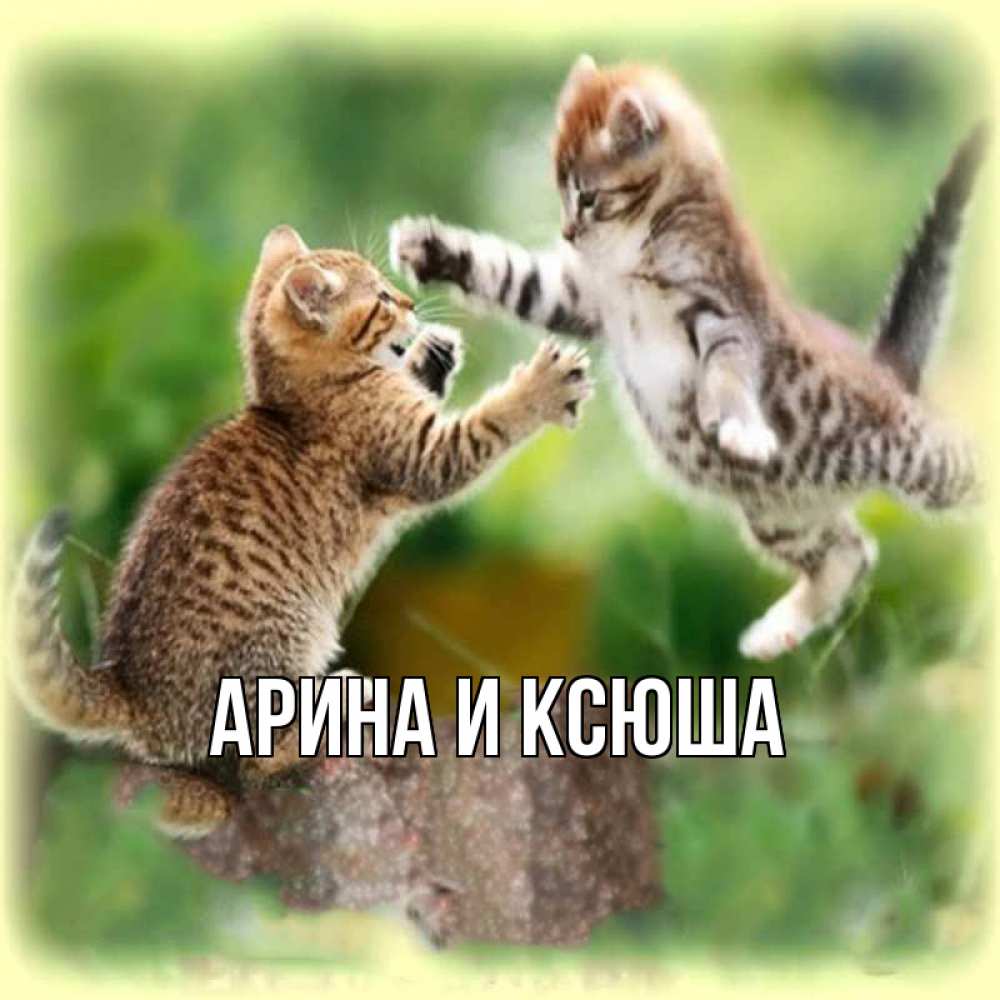Открытка на каждый день с именем, Арина-и-Ксюша Главная игры котят Прикольная открытка с пожеланием онлайн скачать бесплатно 