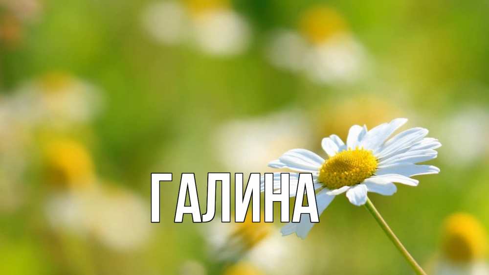 Открытка на каждый день с именем, Галина Главная с днем семьи  1 Прикольная открытка с пожеланием онлайн скачать бесплатно 