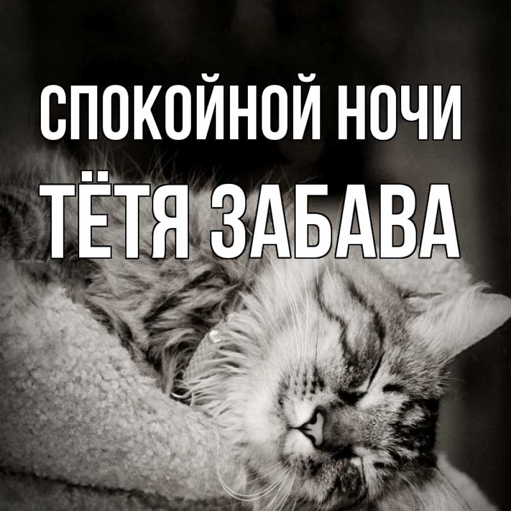 Открытка на каждый день с именем, Тётя-Забава Спокойной ночи котярик пушистый Прикольная открытка с пожеланием онлайн скачать бесплатно 