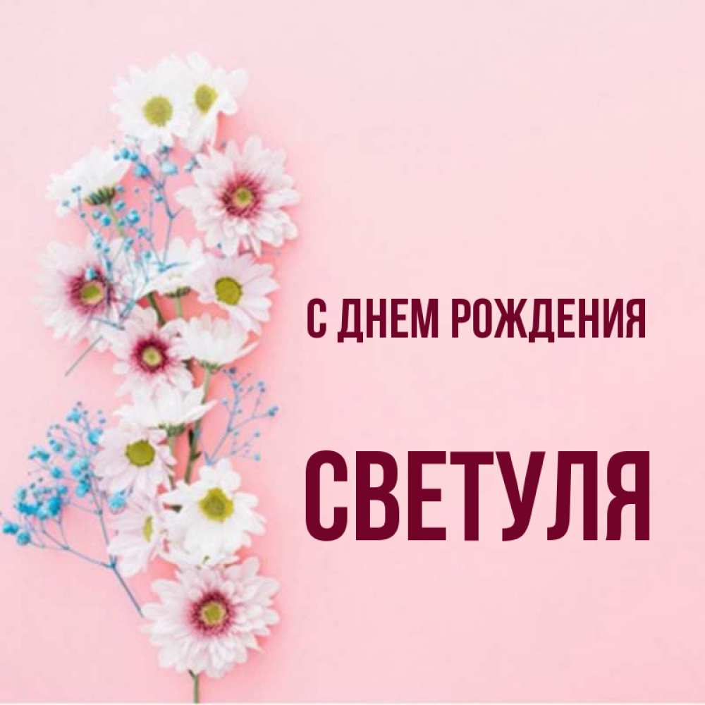 Поздравление с днем рождения светуля. Света с днём рождения. Картинки поздравления для светы. С днем рождения светланка. С днём рождения светочка открытки.