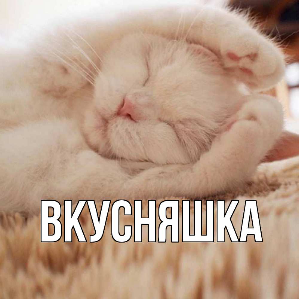 Открытка на каждый день с именем, Вкусняшка Главная белый кот Прикольная открытка с пожеланием онлайн скачать бесплатно 