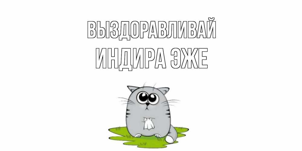 Выздоравливай котик картинки