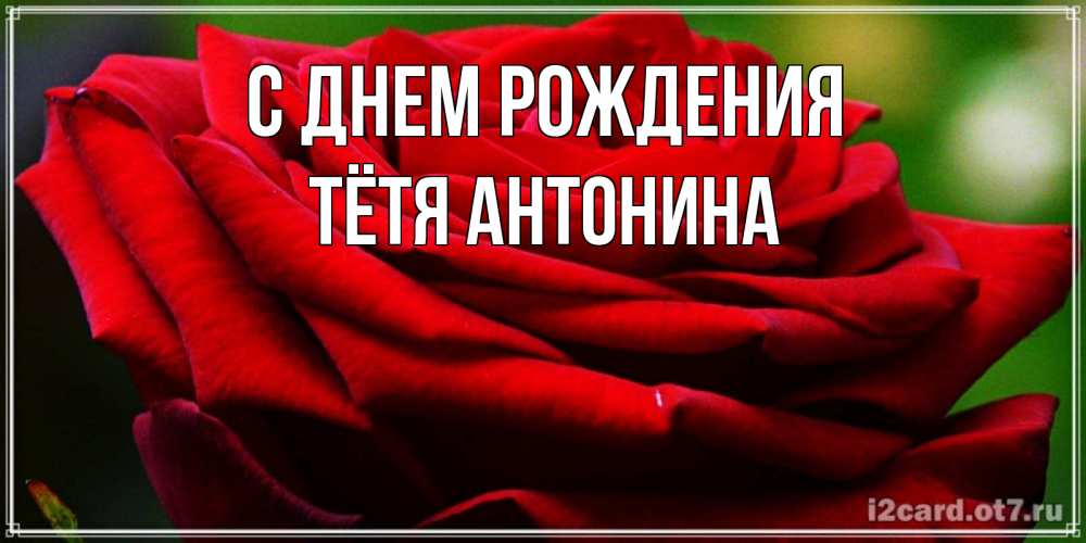 Открытка на каждый день с именем, Тётя-Антонина С днем рождения розочка очень красивая Прикольная открытка с пожеланием онлайн скачать бесплатно 