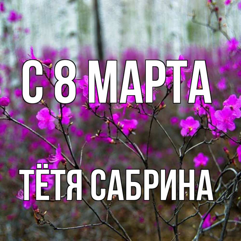 Картинка С 8 марта, Тётя Сабрина