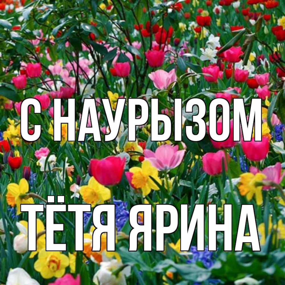 Открытка на каждый день с именем, Тётя-Ярина С наурызом с наурызом праздником весны поздравления для женщины Прикольная открытка с пожеланием онлайн скачать бесплатно 