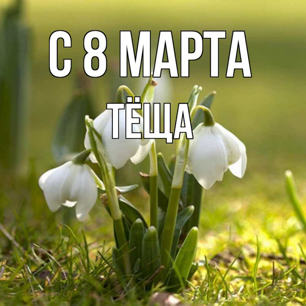 Картинка С 8 МАРТА, Тёща