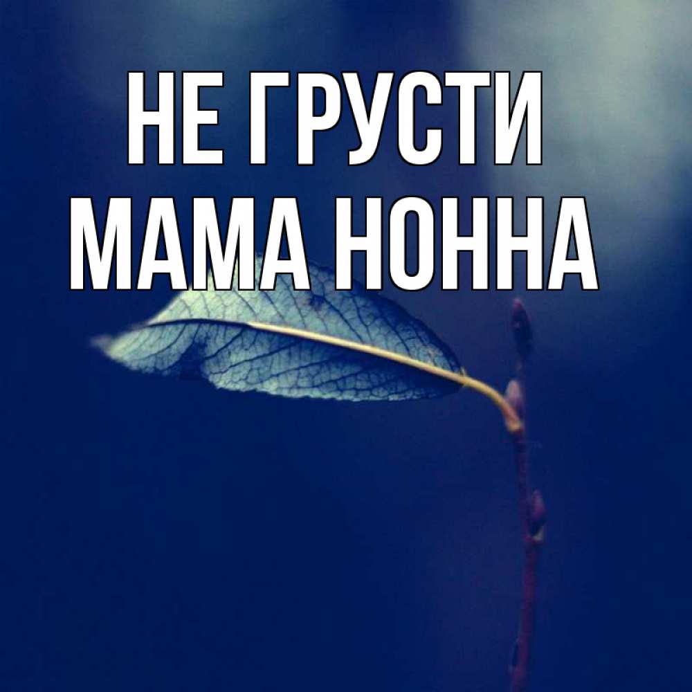 Открытка на каждый день с именем, Мама-Нонна Не грусти растение Прикольная открытка с пожеланием онлайн скачать бесплатно 