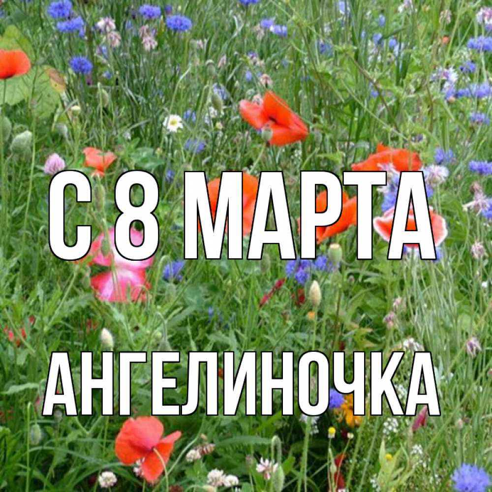 Открытка на каждый день с именем, Ангелиночка С 8 марта международный женский день 4 Прикольная открытка с пожеланием онлайн скачать бесплатно 