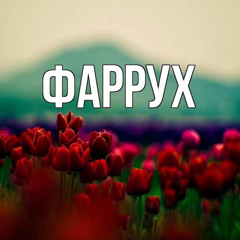 Картинка  с именем , Фаррух