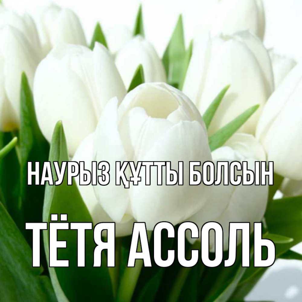 Открытка на каждый день с именем, Тётя-Ассоль Наурыз құтты болсын цветы Прикольная открытка с пожеланием онлайн скачать бесплатно 