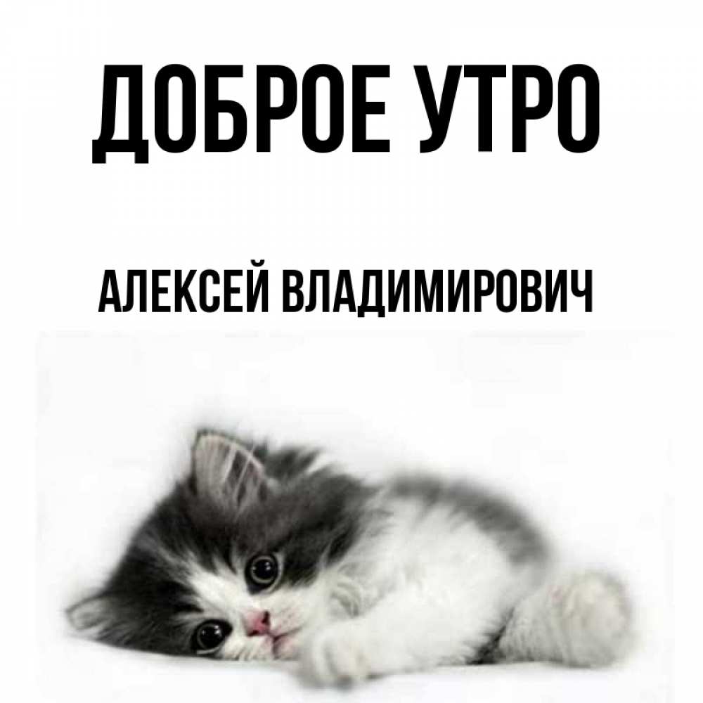 Доброе утро наташка картинки