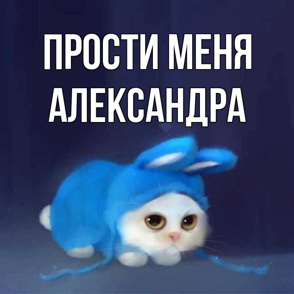 Открытка на каждый день с именем, Александра Прости меня невинный котозай просит прощения Прикольная открытка с пожеланием онлайн скачать бесплатно 