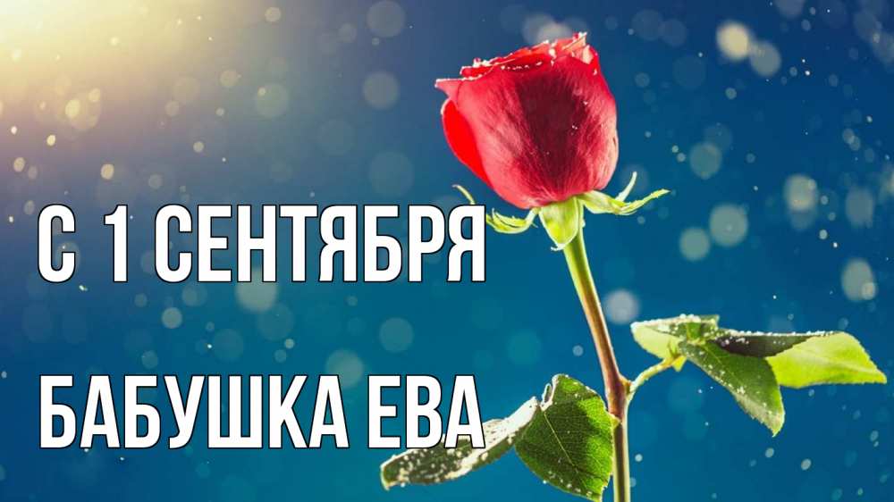 Открытка на каждый день с именем, Бабушка-Ева С 1 сентября с днем знаний Прикольная открытка с пожеланием онлайн скачать бесплатно 