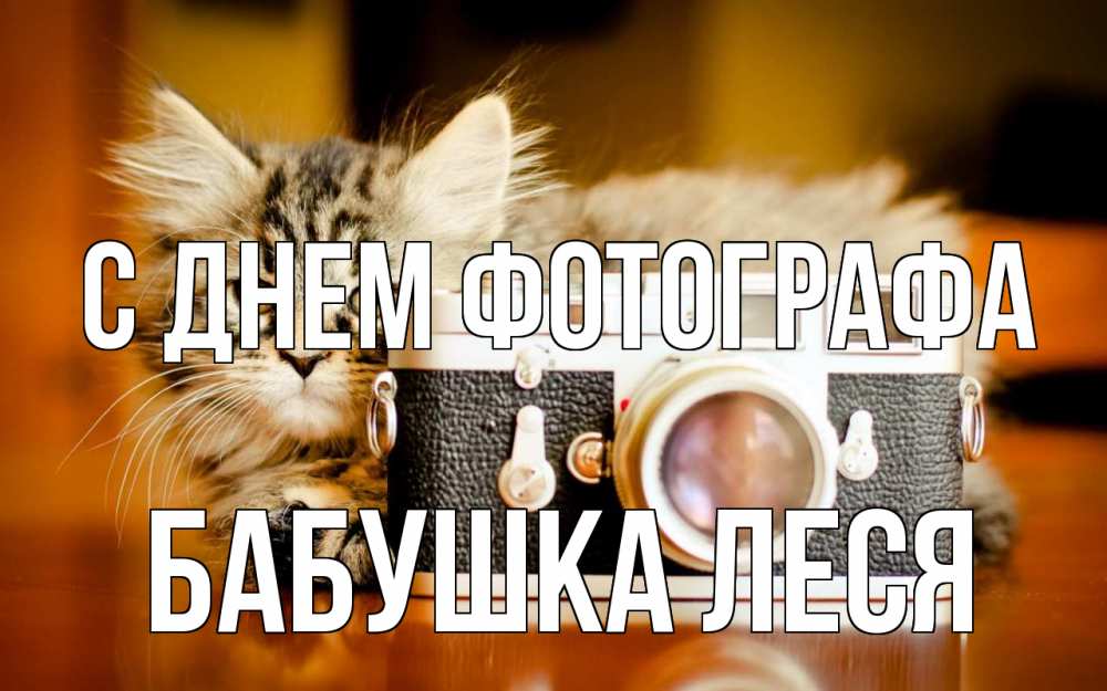 Открытка на каждый день с именем, Бабушка-Леся С днем фотографа с днем фотографа Прикольная открытка с пожеланием онлайн скачать бесплатно 