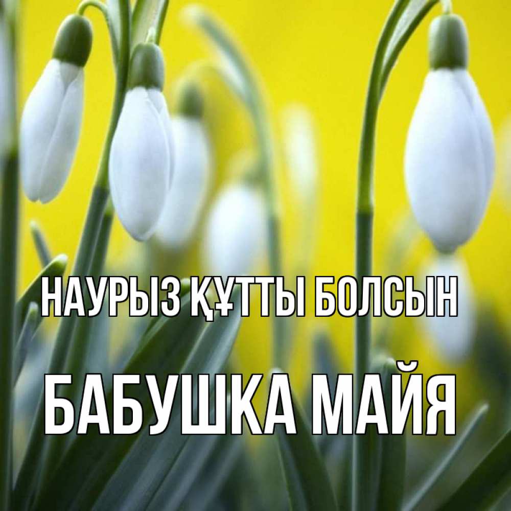 Открытка на каждый день с именем, Бабушка-Майя Наурыз құтты болсын весенние цветы Прикольная открытка с пожеланием онлайн скачать бесплатно 