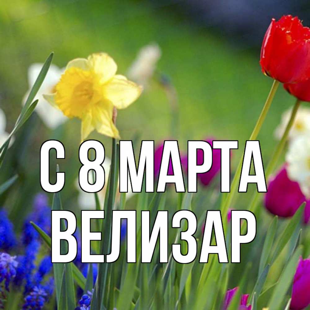 Открытка на каждый день с именем, Велизар С 8 МАРТА международный женский день 3 Прикольная открытка с пожеланием онлайн скачать бесплатно 