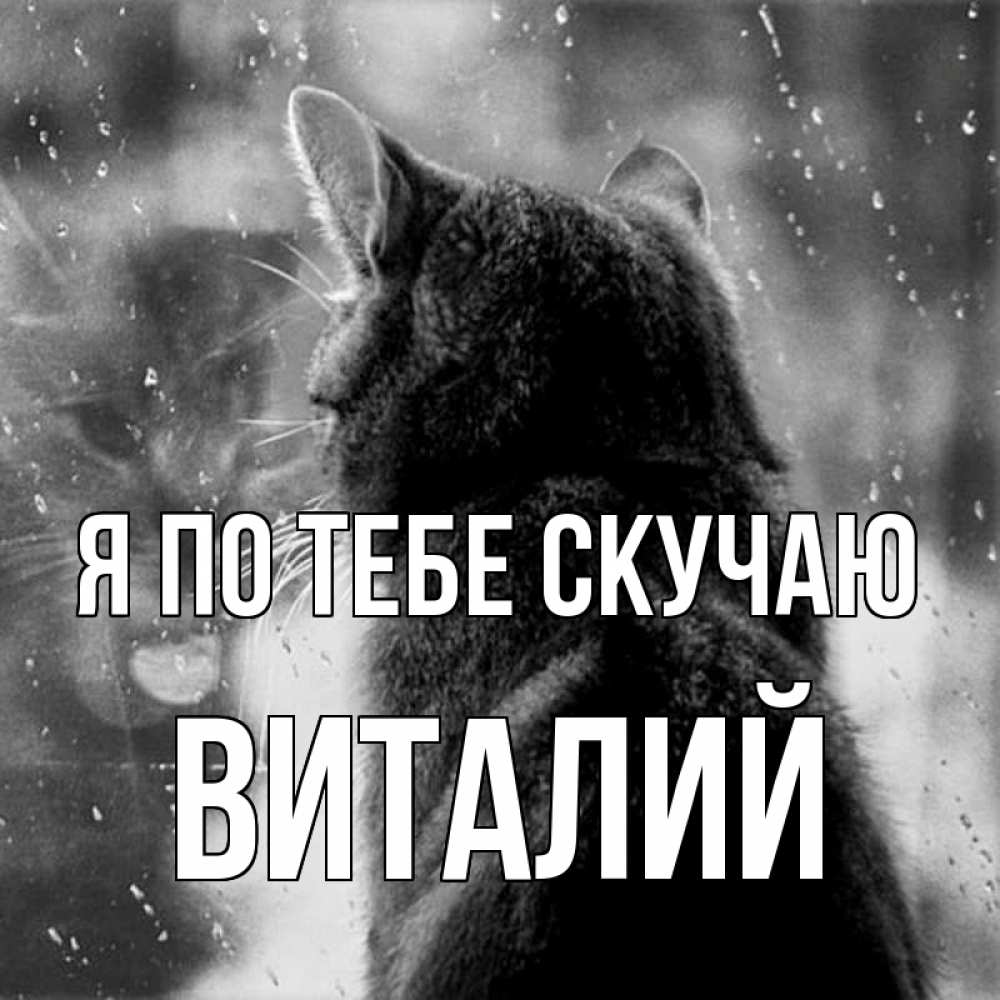 Открытка на каждый день с именем, Виталий Я по тебе скучаю скорее ко мне приходи 1 Прикольная открытка с пожеланием онлайн скачать бесплатно 