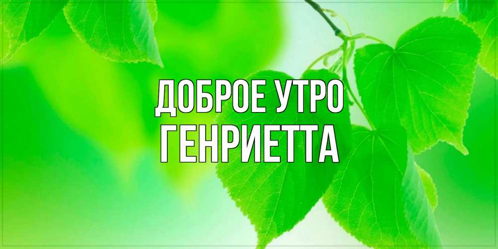 Открытка на каждый день с именем, Генриетта Доброе утро доброе утро с березовыми листьями Прикольная открытка с пожеланием онлайн скачать бесплатно 