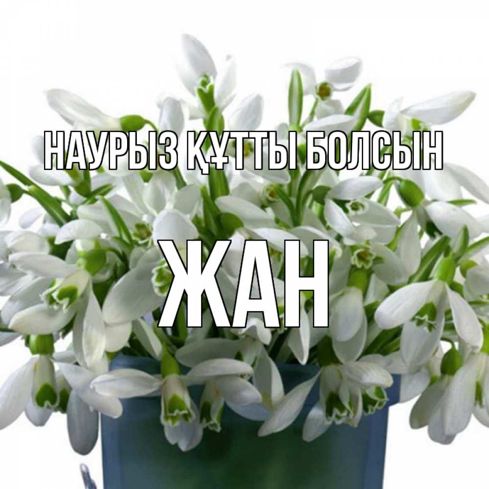 Открытка на каждый день с именем, Жан Наурыз құтты болсын цветы к наурызу Прикольная открытка с пожеланием онлайн скачать бесплатно 