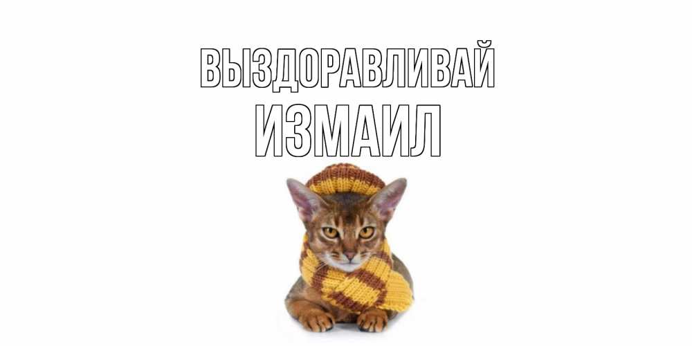 Открытка на каждый день с именем, Измаил Выздоравливай родные не болейте Прикольная открытка с пожеланием онлайн скачать бесплатно 