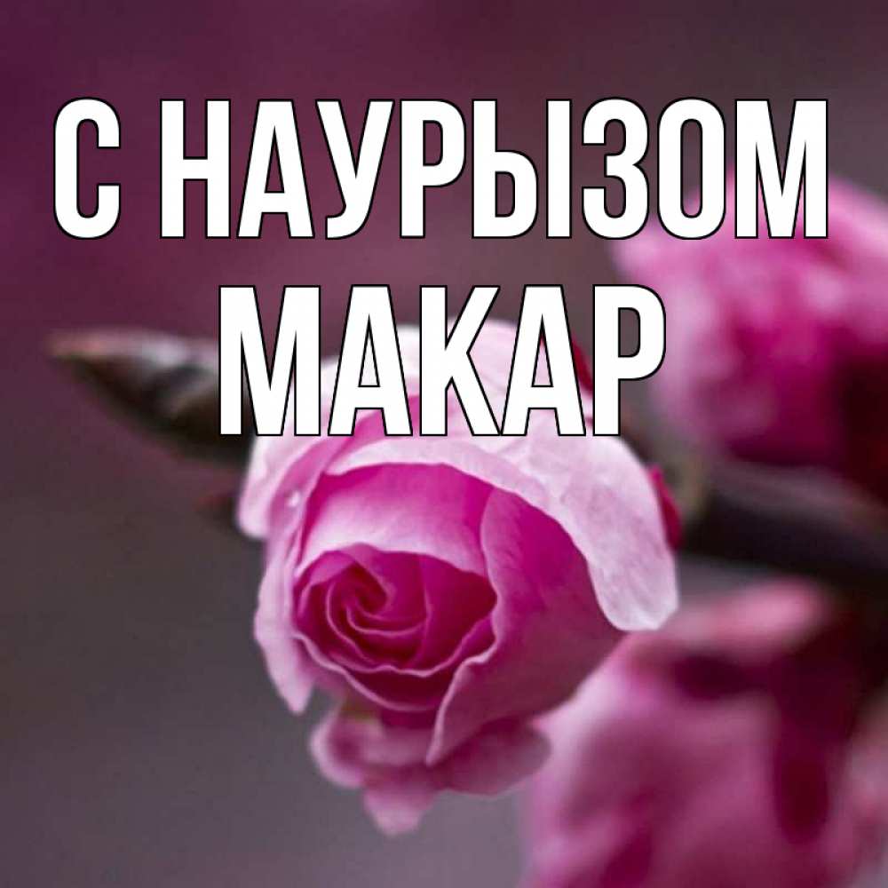 Открытка на каждый день с именем, Макар С наурызом весна Прикольная открытка с пожеланием онлайн скачать бесплатно 